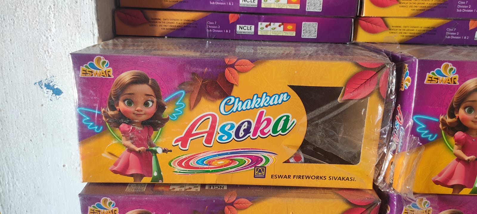 Ground Chakkar Asoka